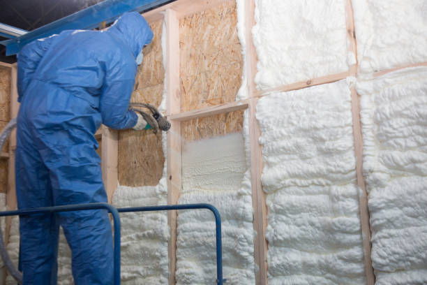 Types of Insulation We Offer in Strasburg, VA